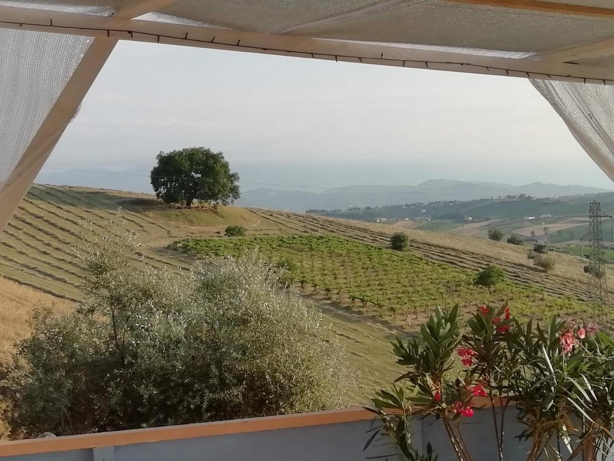 B&B Gli Amici Del Tubarello Розето-дельи-Абруцци Экстерьер фото