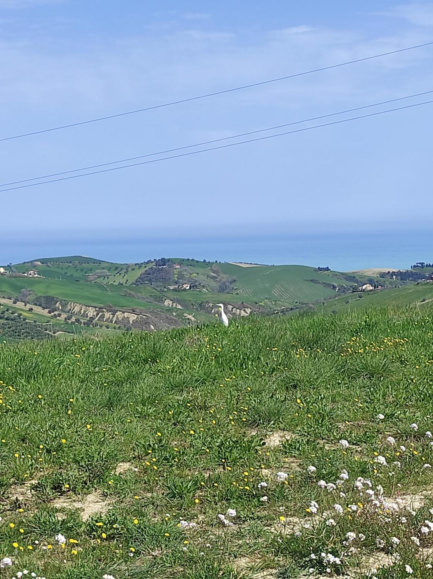 B&B Gli Amici Del Tubarello Розето-дельи-Абруцци Экстерьер фото